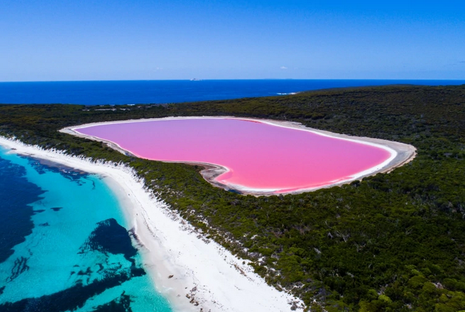 05-australia-pink-lake-de-perth.png 05-australia-pink-lake-de-perth.png